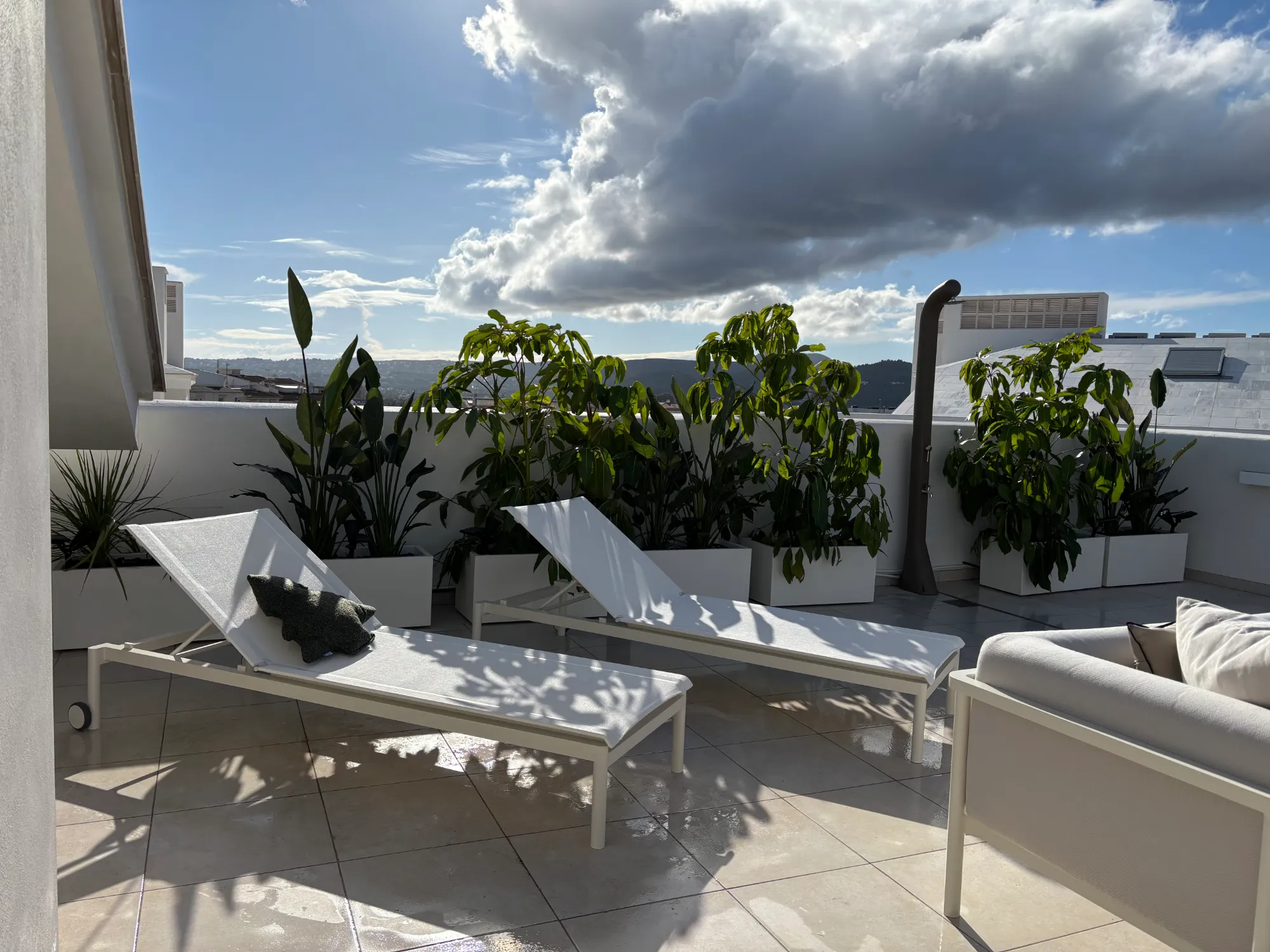 terraza, tumbonas y plantas al sol
