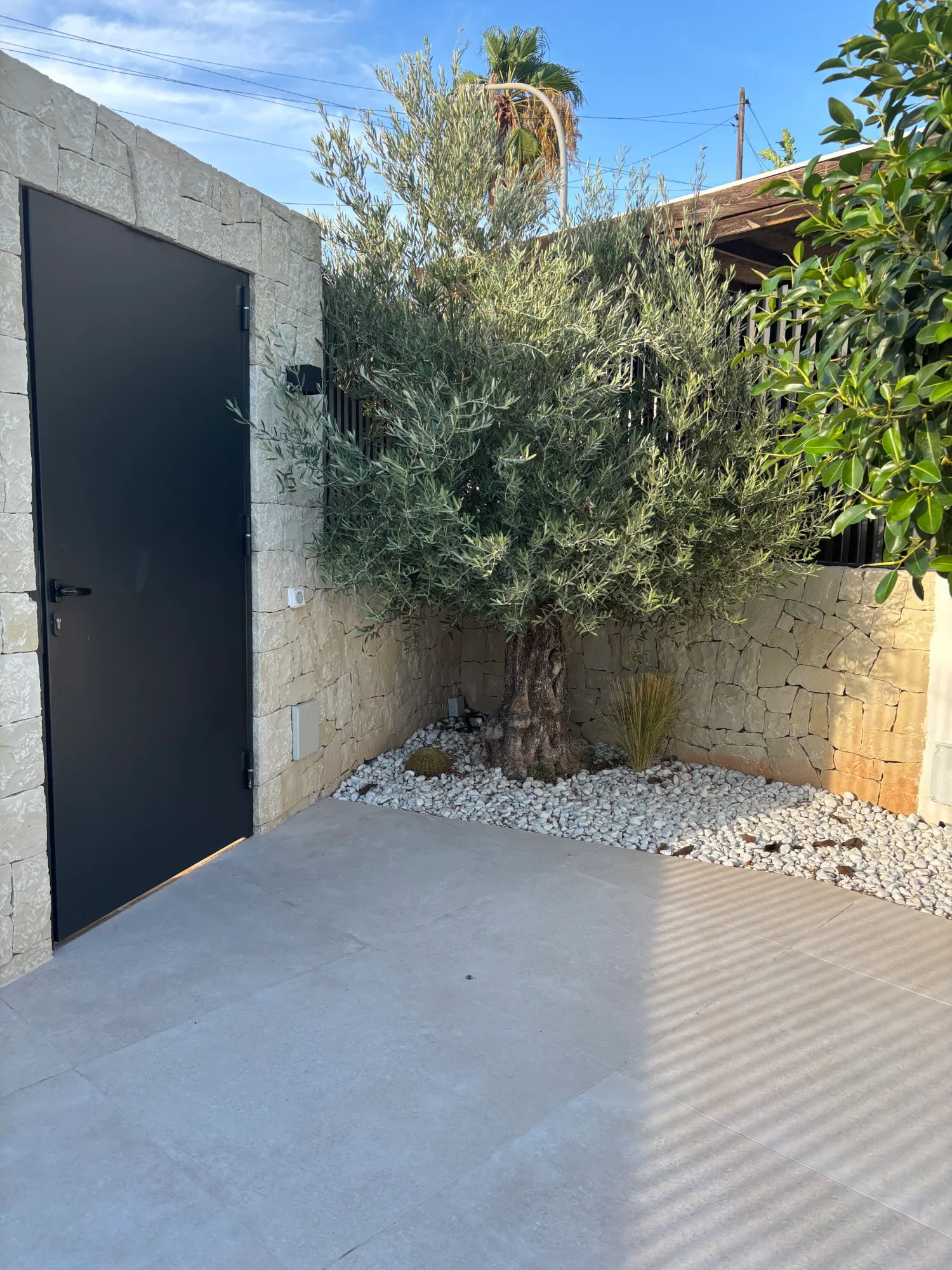 patio de entrada, olivo y muros de piedra